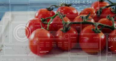 Dijital veriler ve grafikler, domatesler tarımsal analiz için animasyonda. Teknoloji, veri görselleştirme, analitik, tarım, tarım, ekinler