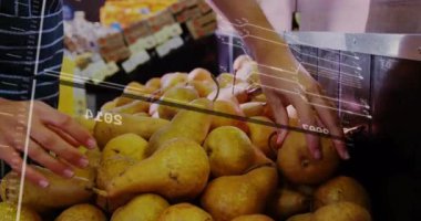 Meyve bahçesinde bulunan armutların veri işleme animasyonlarını seçiyorum. Hasat, tarım, teknoloji, meyve, dijital tarım