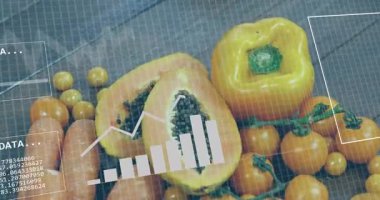 Veri tabloları ve ikili kodlu papaya ve domateslerin animasyonu. teknoloji, tarım, üretim, dijital, taze, veri görselleştirme