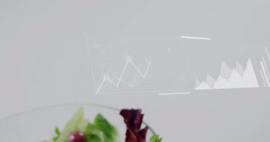 Veri analizi grafikleri, beslenme bilgilerini gösteren taze salata. Veri görselleştirme, istatistik, sağlıklı beslenme, diyet, bilgi, sunum