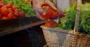 Domatesi dünya haritası ve veri işleme animasyonuyla sepete koymak. Teknoloji, küresel, tarım, tarım, dijital, yenilik