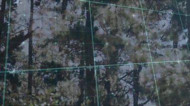 Ağaç dalları üzerinde dijital şebeke kaplaması fütüristik doğa animasyonu kavramı yaratıyor. Teknoloji, yenilik