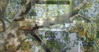 Geometrik mimari elementler ağaç dallarını ve yapraklarını kaplıyor. Mimari, soyut, doğa, çevre, tasarım, kompozisyon