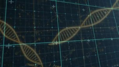 Bilimsel veriler işleniyor, DNA dizisi animasyonu ve ikili kodlama dizisi. Biyoteknoloji, genetik, biyoenformatik, dijital, araştırma, moleküler