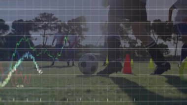 Çimenli alanda koni, grafik çizgileri ve animasyon yüzdeleriyle antrenman yapan sporcular. Atletizm, spor, egzersiz, performans, açık hava, çeviklik