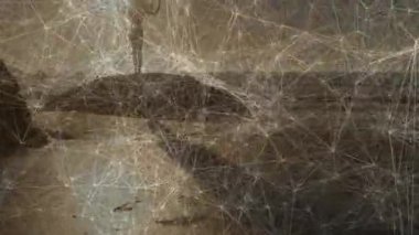 Plajda, ağ bağlantılarının animasyon örtüsü olan insan silueti. Teknoloji, bağlantı, dijital, gelecek, yenilik, açık hava