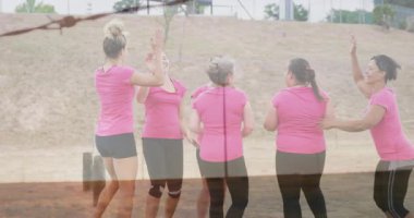 Açık havada kutlama, pembe tişörtlü kadınlar neşe ve animasyonla beşlik çakıyor. Kutlama, mutluluk, arkadaşlık, takım çalışması, birlik, teşvik