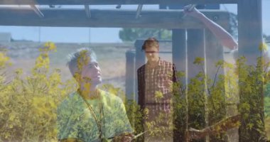 Tarlada koşan, canlı sarı çiçeklerle çevrili bir adam, animasyon örtüsü. Doğa, özgürlük, hareket, açık hava, bahar, mutluluk.