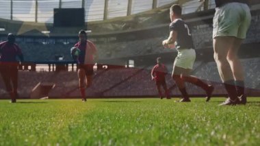 Yeşil sahada, ragbi oyuncuları büyük stadyumda dövüşüyor. Spor, takım çalışması, yarışma, atletik, forvet