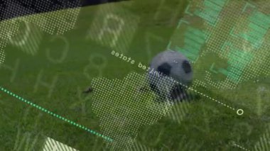 Futbol topunu tekmelemek, çimenli sahada animasyon yapan oyuncu. Spor, atlet, yarışma, hareket, yeşil alan, oyun