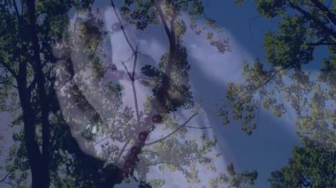 Ağaç dalları ve yeşil yapraklarla kaplanmış dingin yüzün animasyonu. Doğa, sükunet, üst üste bindirme, çifte pozlama, sükunet, huzur