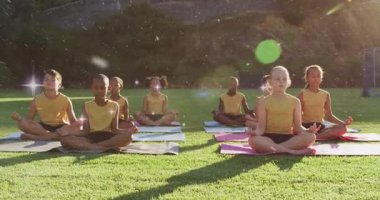 Çimenler üzerinde yoga pratiği yapan insanlar, parlayan ışık animasyon efektleriyle çevrili insanlar. Meditasyon, rahatlama, egzersiz, sükunet, ahenk, maneviyat