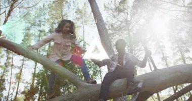 Ormanda, çocuklar parlayan geometrik animasyon örtüsüyle ağaca tırmanıyorlar. Doğa, macera, gençlik, keşif, hayal gücü, geometri