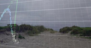 Kumlu sahil yolu üzerinde çimenli kumullarla borsa animasyonu. Finans, yatırım, analiz, ekonomi, büyüme, doğa