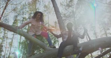 Ağaç dalında oturan iki insan güneşli ormanın ve doğanın animasyonunun tadını çıkarıyor. Güneş ışığı, rahatlama, arkadaşlık, açık hava, sükunet, keşif