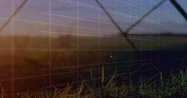 Gün batımında tarımsal alanı kaplayan grafik çizgileri okuldaki animasyon efektleriyle birlikte. Tarım, veri, görselleştirme, teknoloji, analitik, eğitim