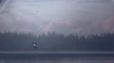 Dalgalanmalar yaratarak, uzak ağaç çizgileri olan sakin göle su damlacıkları düşer. Doğa, sükunet, huzur, manzara, yansıma, sükunet