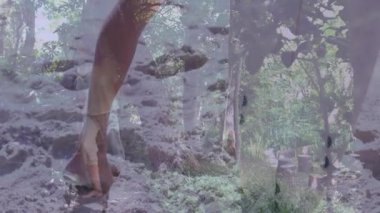 Ormanda yürürken, insan soyut dokular ve kalıplardan oluşan animasyon örtüsüyle dolaşır. Doğa, keşif, dijital, sürreal, yaratıcılık, macera