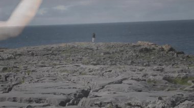 Okyanus manzaralı kayalık kıyı manzarası üzerinde beyin hologramı animasyonu. Yenilik, teknoloji, fütürist, dijital, holografik, doğa