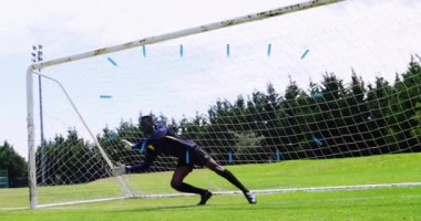 Topu kurtarmak için dalan futbolcu çimenli saha animasyonunda kale direğinin yanında. Sporcu, kaleci, futbol, spor, atlama, aksiyon