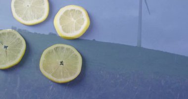 Arka planda rüzgar türbiniyle örtülü limon dilimlerinin animasyonu. Meyve, yenilenebilir enerji, narenciye, çevre, doğa