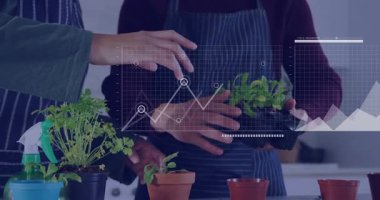 Bitkilerle ilgilenen, hareketlerini gizleyen animasyon veri grafikleri olan insanlar. Bahçıvanlık, teknoloji, analitik, bahçıvanlık, yenilik, veri görselleştirme