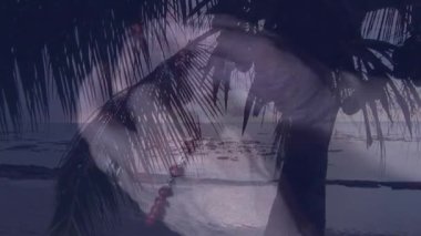 Huzurlu okyanus manzaralı palmiye ağacı silueti, alacakaranlık batan güneşin animasyonu. Tropik, günbatımı, doğa, ufuk