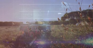 Finansal veriler ve grafik animasyonları çimenli doğa manzarası üzerine. Maliye, borsa, analitik, çevre, sürdürülebilirlik, ekonomi