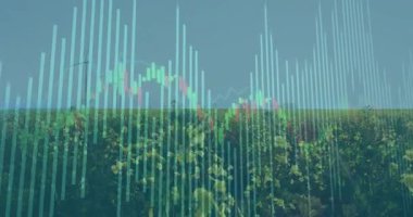 Çiçekler ve rüzgar türbinleri üzerinde dikey çizgi animasyonu. Yenilenebilir, sürdürülebilir, çevre, enerji, grafik, veri