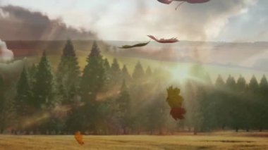 Sonbahar yapraklarının güneşli ormanlara ve yuvarlanan tepelere düşüşünün animasyonu. Mevsimlik, doğa, güneş ışığı, manzara