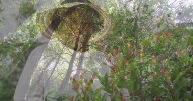 Bitkilerle ilgilenen, ağaçların arasından süzülen güneş ışığıyla yemyeşil yaprakların tadını çıkaran bahçıvan. Bahçıvanlık, bahçıvanlık, doğa, yeşillik, açık hava