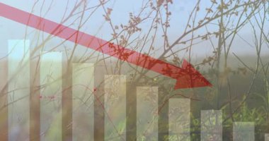 Çevredeki elektrik hatları üzerinde kırmızı aşağı doğru ok ve çubuk grafiğinin animasyonu. Ekonomi, düşüş, elektrik, enerji, analitik, finans