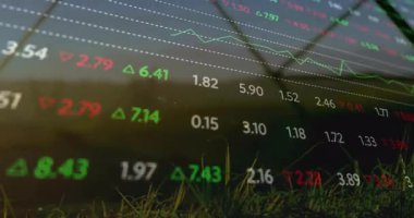 Çimenli arazide grafiklerin canlandırılmasıyla borsa verileri dalgalanıyor. Finans, yatırım, ekonomi, analitik, büyüme, ilerleme