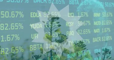 Borsa verileriyle çiçek açan çiçekler büyümeyi ve doğayı sembolize ediyor. ekonomi, finans, yatırım, sürdürülebilirlik, refah, çevre