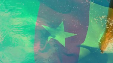 Kamerun bayrağı, suda canlı animasyonlarla yüzen balıkların üzerine kaplıydı. Su, renkli, dijital, su altı