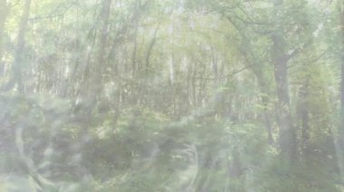 Huzurlu orman manzarasında yüzen soyut turuncu şekillerin animasyonu. doğa, dinginlik, sükunet, dijital sanat, uyum, yaratıcılık