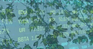 Doğal ortamda yeşil yaprakları kaplayan borsa verilerinin animasyonu. Sürdürülebilirlik, finans, analitik, büyüme, yatırım, teknoloji
