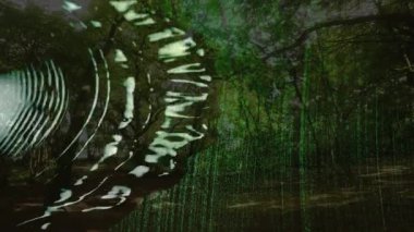 Yeşil soyut şekillerin canlandırılması sakin orman manzarası arka planında harmanlanıyor. Doğa, huzur, uyum, doku, dijital, gerçeküstü
