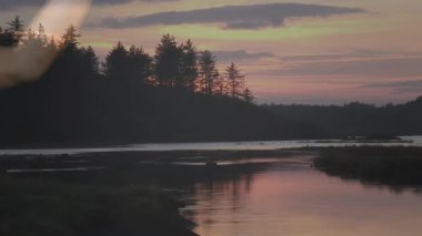 Beyin hologramını tutarak, günbatımında dingin gölü ağaçların animasyonuyla teslim edeceğiz. Teknoloji, yenilik, fütüristik, holografik, doğa, sükunet