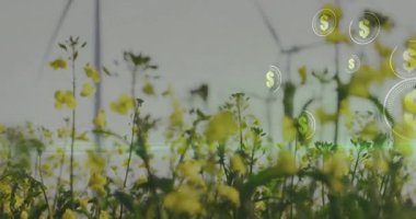 Rüzgar türbini üzerinde dolar sembolleri ve tarlada sarı çiçekler. Yenilenebilir, sürdürülebilirlik, çevre, temiz enerji, rüzgar gücü