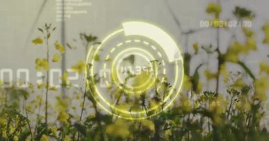 Ön planda sarı çiçekler olan rüzgar türbinleri üzerinde dijital veri işleme animasyonu. Yenilenebilir enerji, sürdürülebilirlik, teknoloji, çevre, doğa