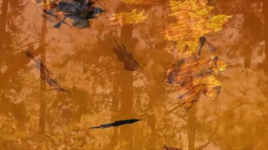 Okul ortamında ağaç dallarından düşen sonbahar yapraklarının animasyonu. Yeşillik, doğa, sınıf, mevsim, eğitim, öğrenim