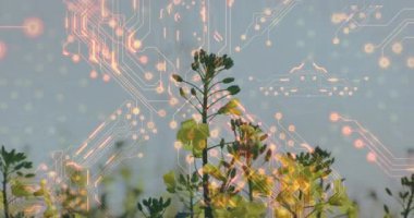 Parlak devre animasyonu sarı çiçeklerle örtüşüyor, doğa ve teknolojiyi harmanlıyor. Yenilik, füzyon, ekoloji, dijital, gelecekçi, uyum