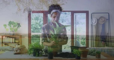 Saksı bitkileriyle ilgilenmek, evdeki doğa olaylarıyla örtüşen animasyondaki insanlar. Bahçe işleri, rahatlama, sükunet, yeşillik, huzur, yaşam tarzı.
