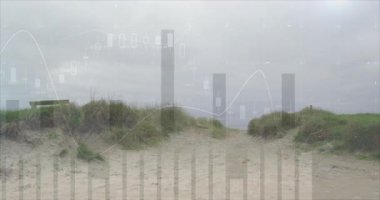 Kum tepecikleri ve çimenler. Finansal grafik animasyonları sahneyi kaplıyor. Doğa, büyüme, yatırım, ekonomi, finans, analiz