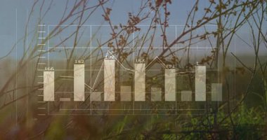 Doğal manzarayı sayısal verilerle kaplayan çubuk ve çizgi grafiklerinin animasyonu. Analiz, istatistik, veri görselleştirme, grafik tasarımı, grafikler, dijital