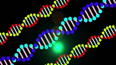 Siyah arkaplan animasyonundaki renkli DNA iplikçiklerinin merkezinde parlayan ışık. Biyoteknoloji, genetik, sarmal, bilimsel, moleküler, aydınlık