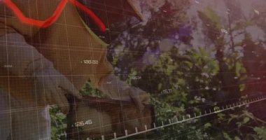 Bahçede mahsul toplayan birinin kırmızı finansal grafik animasyonu. Ekonomi, tarım, finans, tarım, borsa, büyüme