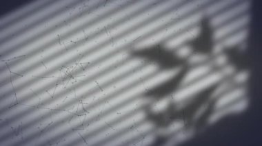 Çizgili yüzey üzerinde soyut desenler, bitki gölgeleri ve yeşil çizgiler oluşturuyor. minimalizm, geometrik, tasarım, sanat, modern, doku