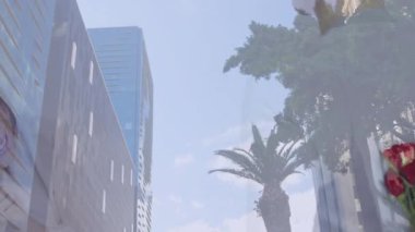 Kırmızı güller kokan, şehir manzarasında palmiye ağaçları ve animasyon örtüsü olan bir kadın. Çiçekler, doğa, kentsel, dijital sanat, kadın, açık hava